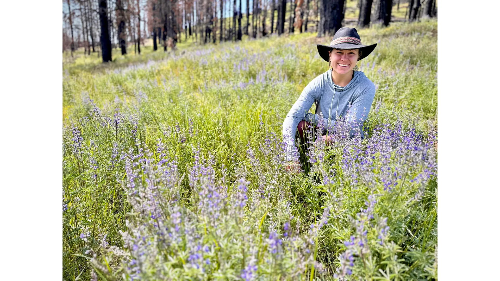 How Daily Movement Helps Alex Ballesteros Focus Better and Stress Less